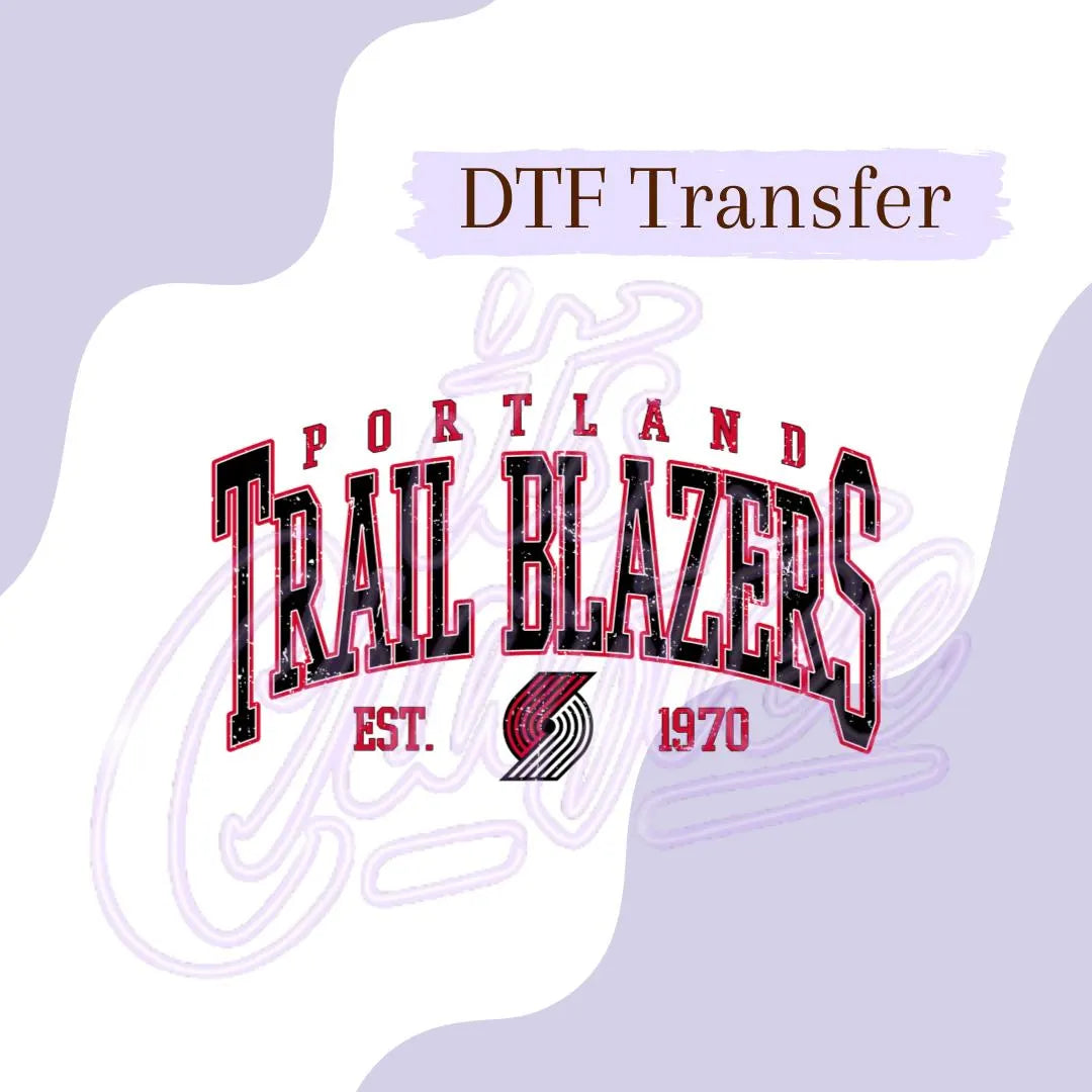 Favorite Basketball DTF, Western N B A