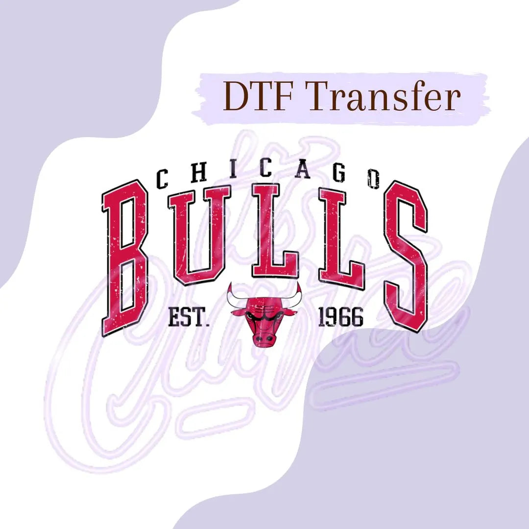 Favorite Basketball DTF, Eastern N B A